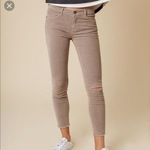 NWT• Size 26 Sincerely Jules Savannah cords